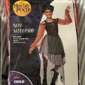 Mary Sanderson costume